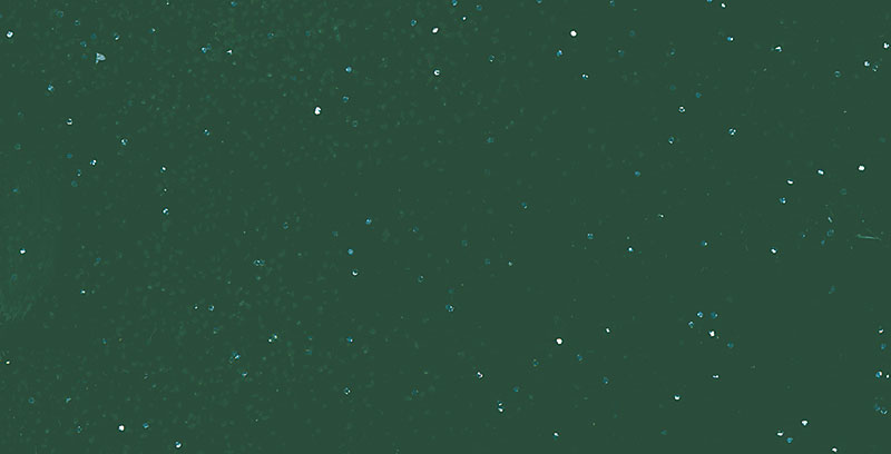 hu76100031_polyhaube_dark_green_metallic_1