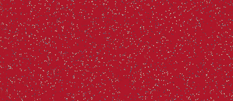 hu76100040_polyhaube_und_bug_red_metallic_1